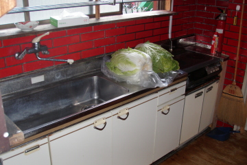 ���t�H�[���O������ʐ^