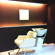 �A�[�o���i�`�������̃T����